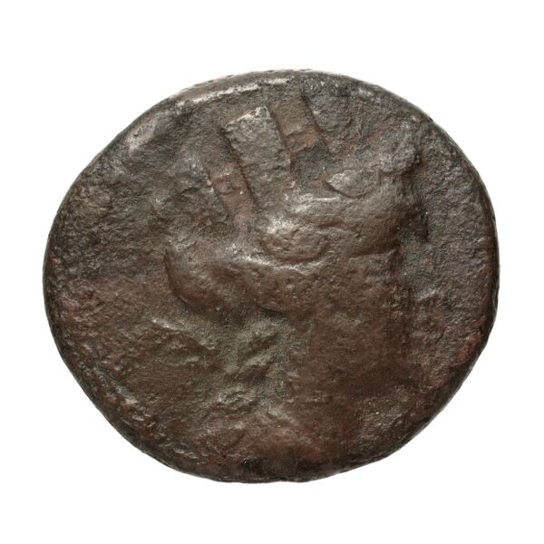 Aradus Duyrat 2005 2237-2492, аверс, bnf-iris