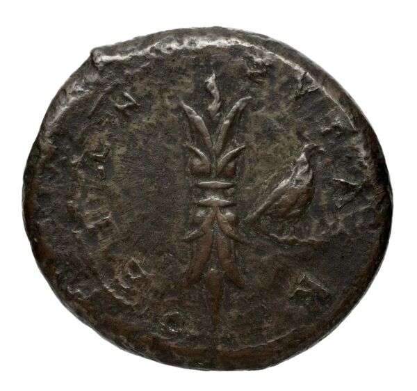 Syracuse Puglisi 2009 304, реверс, bnf-iris