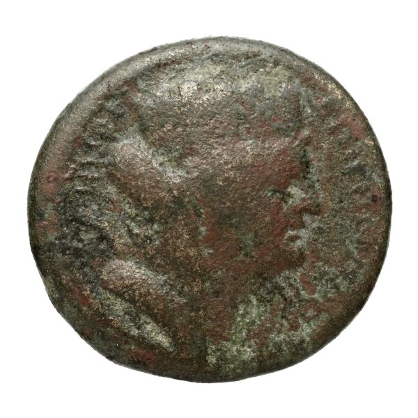 Seleuceia Pieria Butcher 2004 Autonomous coinage a, аверс, bnf-iris