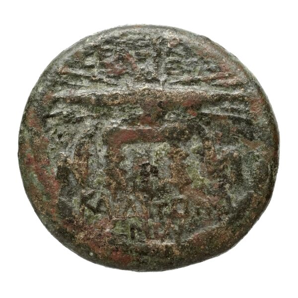 Seleuceia Pieria Butcher 2004 Autonomous coinage a, реверс, bnf-iris