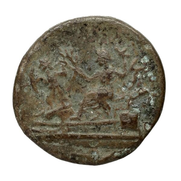Aradus Duyrat 2005 2237-2492, реверс, bnf-iris