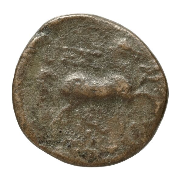 Thessalonica Kourempanas 2016 5, реверс, bnf-iris