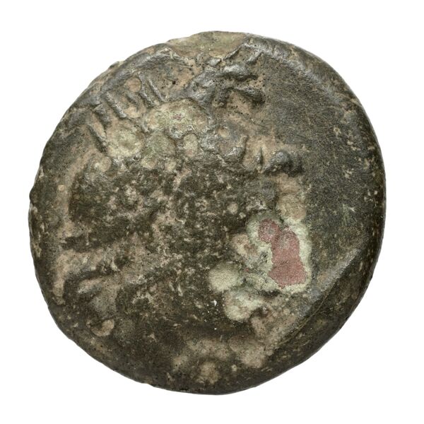 Perseus Macedon AMNG III.2 8, аверс, bnf-iris