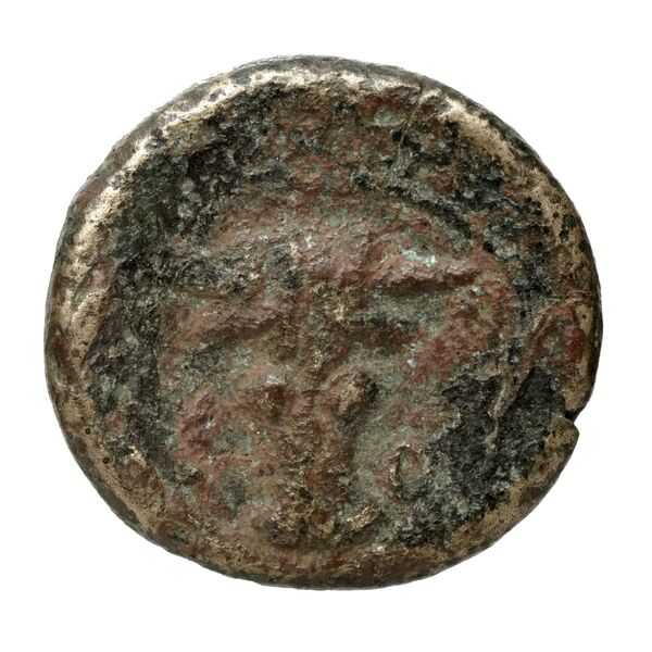 Corcyra BMC Corcyra 434-446, реверс, bnf-iris