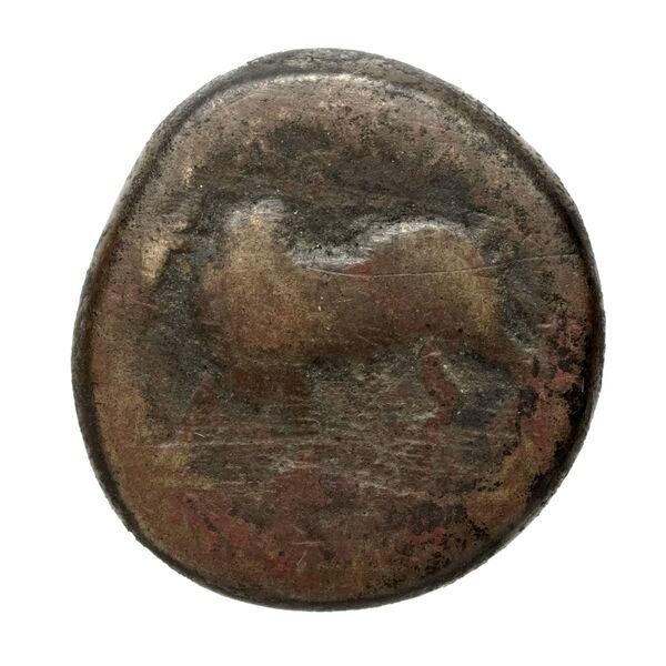Tralles BMC Tralles 63-5, реверс, bnf-iris
