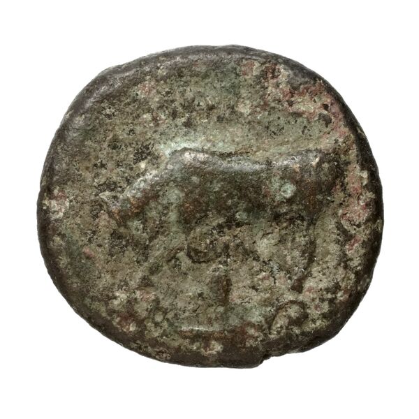 аверс Poseidonia Historia Numorum Italy 1153