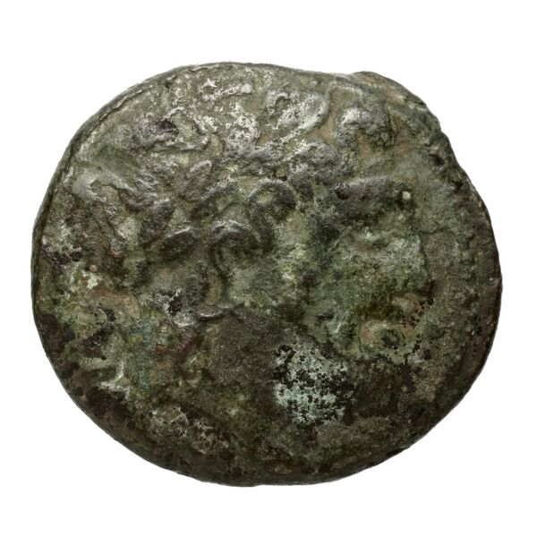 Nuceria Historia Numorum Italy 2438-46, аверс, bnf-iris