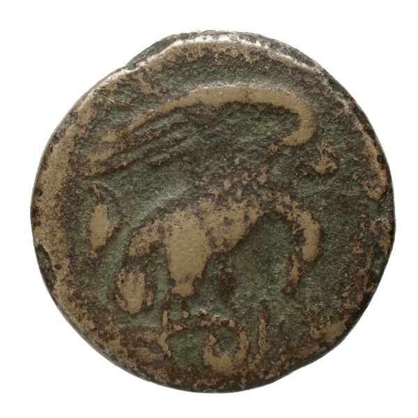 Croton Historia Numorum Italy 2217-2223, реверс, BnF (IRIS)