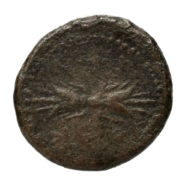 Locri Epizephyrii Historia Numorum Italy 2362-2370, реверс, BnF (IRIS)