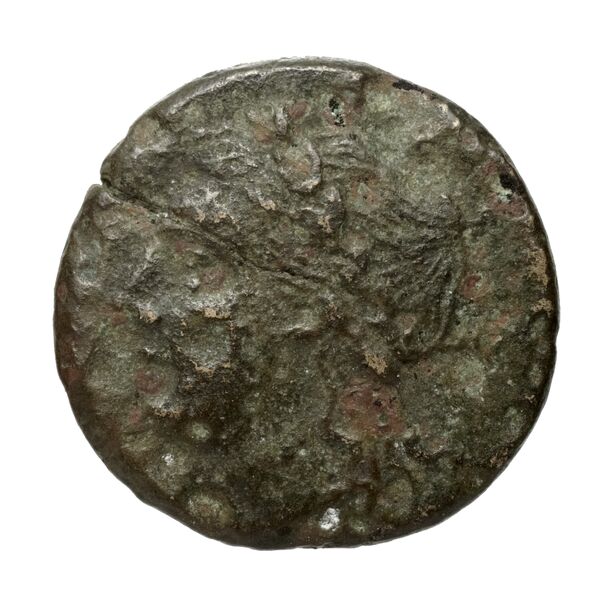 аверс Metapontum Historia Numorum Italy 1675
