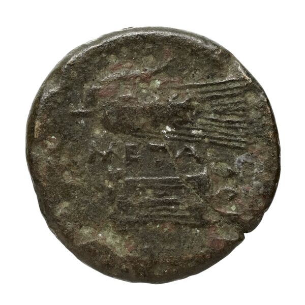 реверс Metapontum Historia Numorum Italy 1675