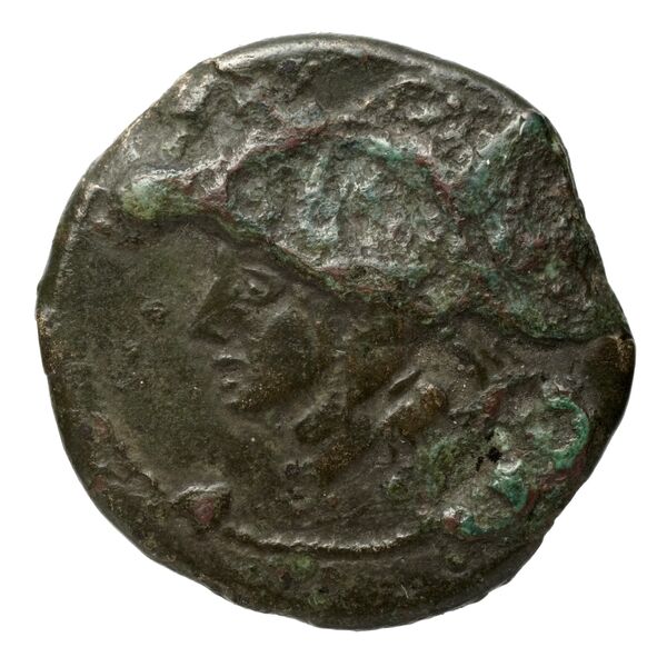аверс Teanum Sidicinum Historia Numorum Italy 453