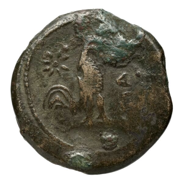 реверс Teanum Sidicinum Historia Numorum Italy 453