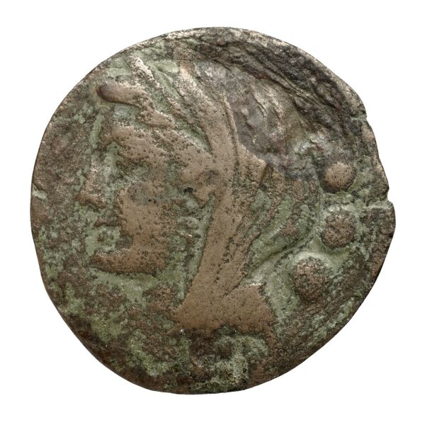 Venusia Historia Numorum Italy 721, аверс, bnf-iris