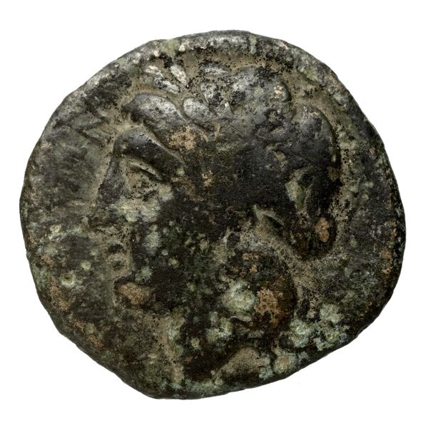 Neapolis Historia Numorum Italy 589, аверс, bnf-iris