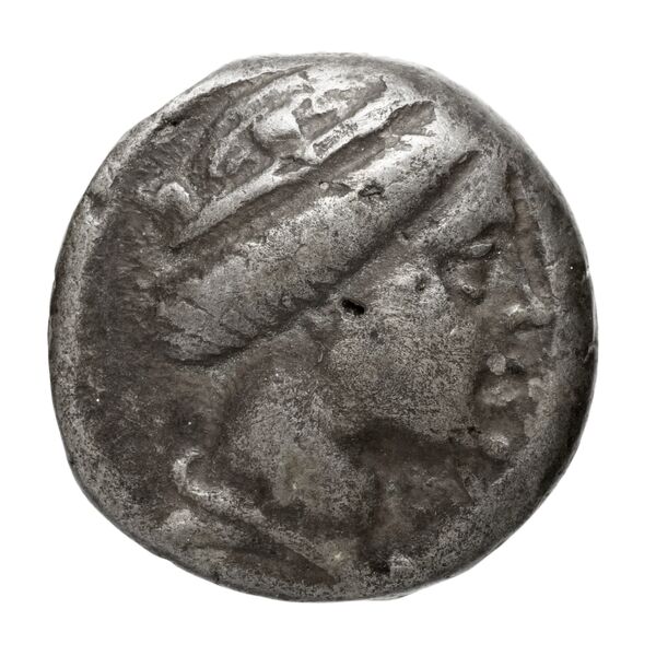 Amisus Waddington 1925 11, аверс, bnf-iris