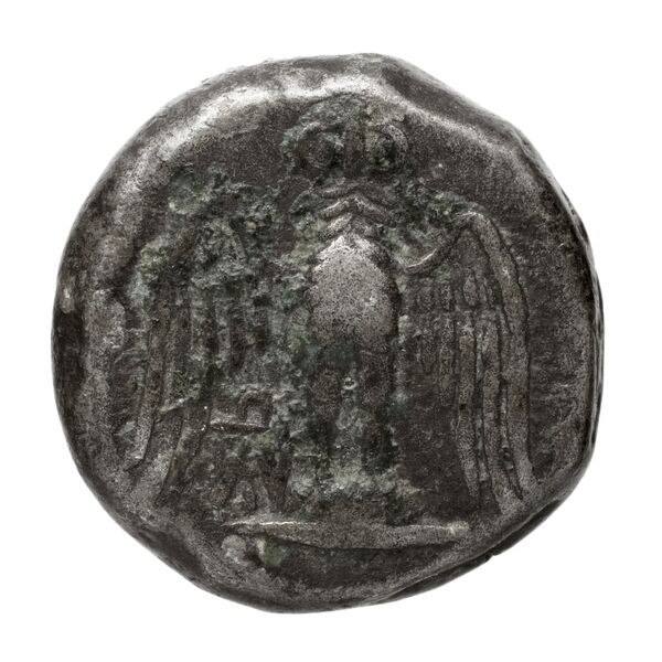 Amisus Waddington 1925 11, реверс, bnf-iris