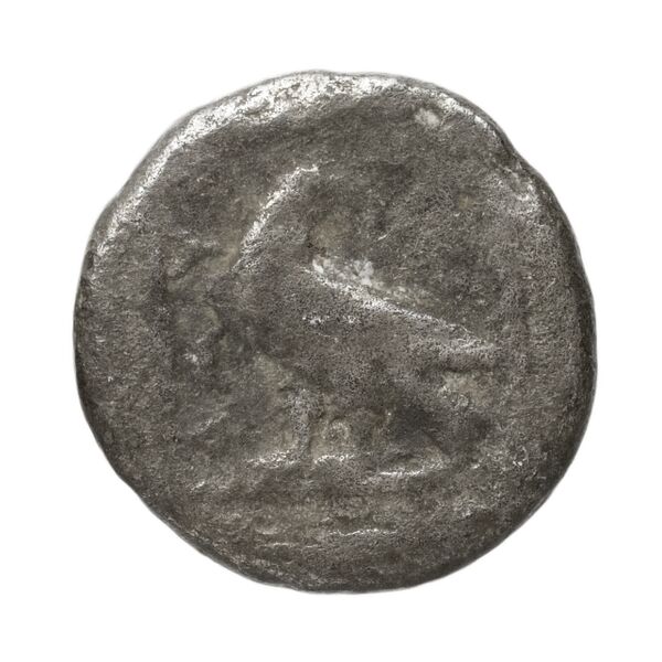 Amyntas III of Macedon Macedon SNG ANS 94-96, реверс, bnf-iris