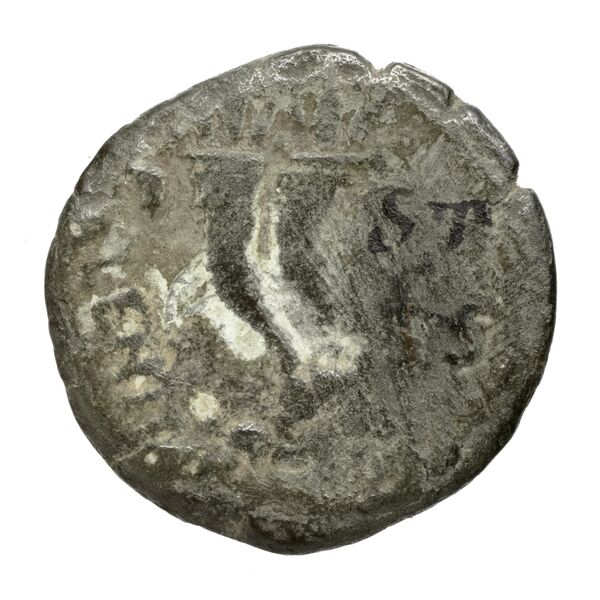 Vibo Valentia Historia Numorum Italy 2263, реверс, bnf-iris