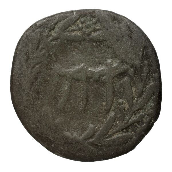 Cossura SNG Copenhagen Cossura 449, реверс, bnf-iris