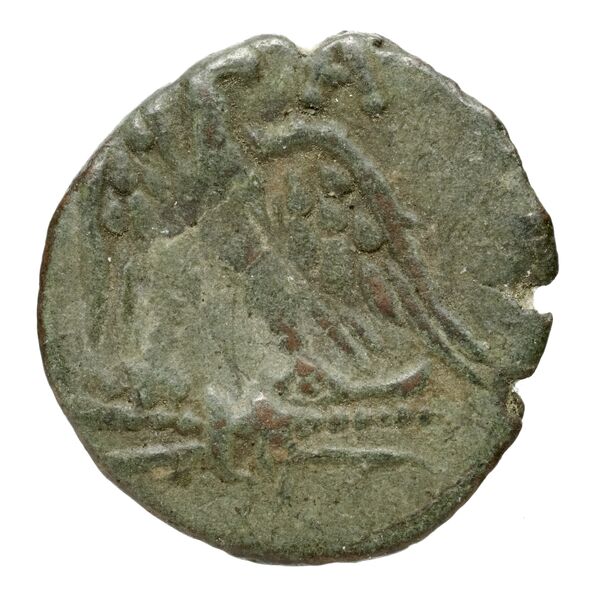 Perseus Macedon SNG Copenhagen Perseus 1275, реверс, bnf-iris