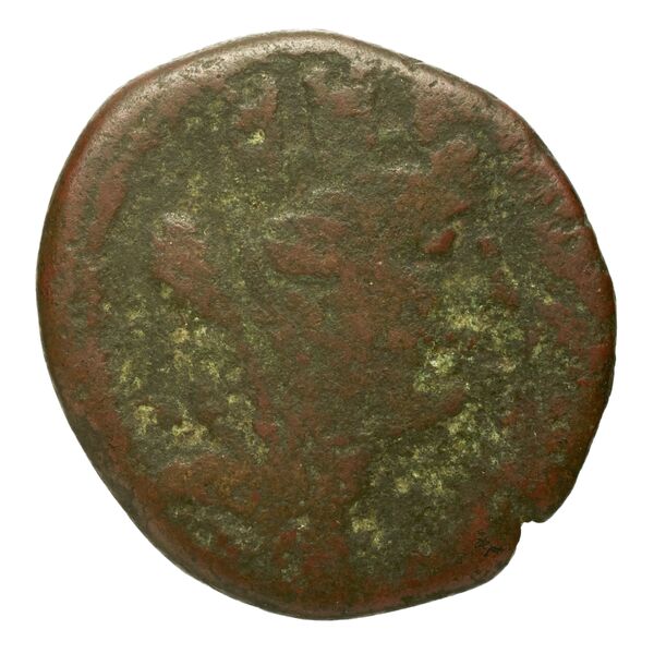 Seleuceia Pieria Butcher 2004 Autonomous coinage a, аверс, bnf-iris