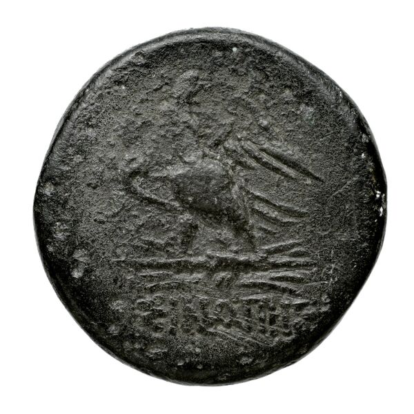 Sinope Waddington 1925 59, реверс, bnf-iris