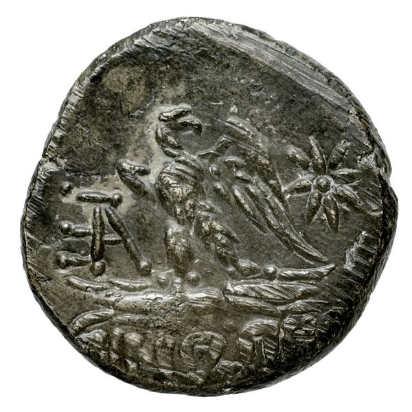 Sinope Waddington 1925 60, реверс, bnf-iris