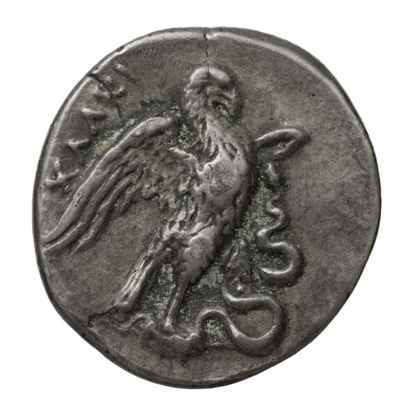 реверс Chalcis Picard 1979 Series I group II issue 25-30 drachm