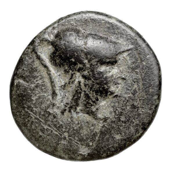Temnus SNG Copenhagen Temnus 262, аверс, bnf-iris