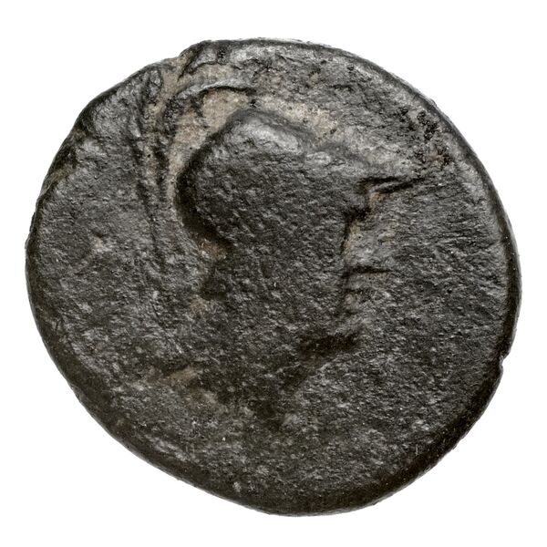 Temnus SNG Copenhagen Temnus 262, аверс, bnf-iris