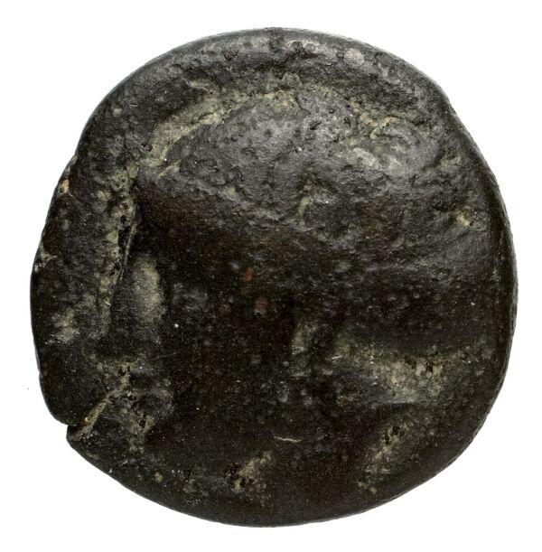 Phocaea BMC Phocaea 91-3, аверс, bnf-iris