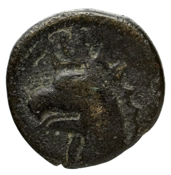 Phocaea BMC Phocaea 91-3, реверс, bnf-iris