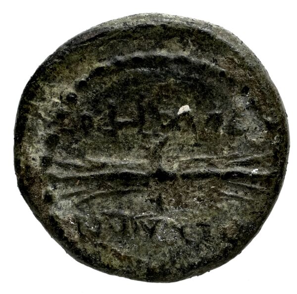 Myndus BMC Myndus 18-23, реверс, bnf-iris