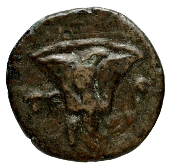 Rhodes Ashton 2001 234-8, реверс, bnf-iris