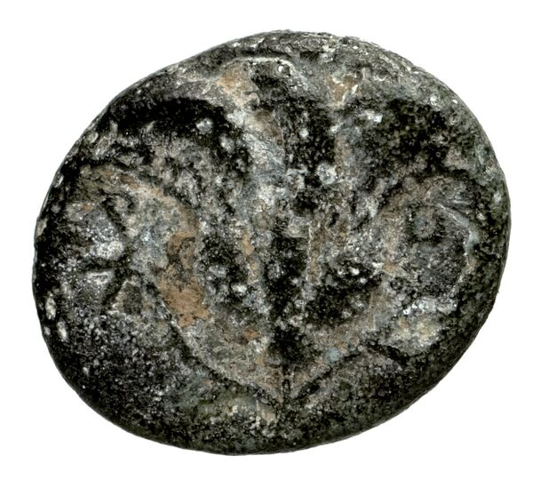 Rhodes Ashton 2001 332, реверс, bnf-iris