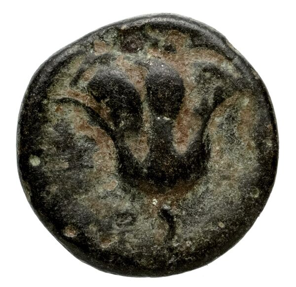 Rhodes Ashton 2001 57-66, реверс, bnf-iris