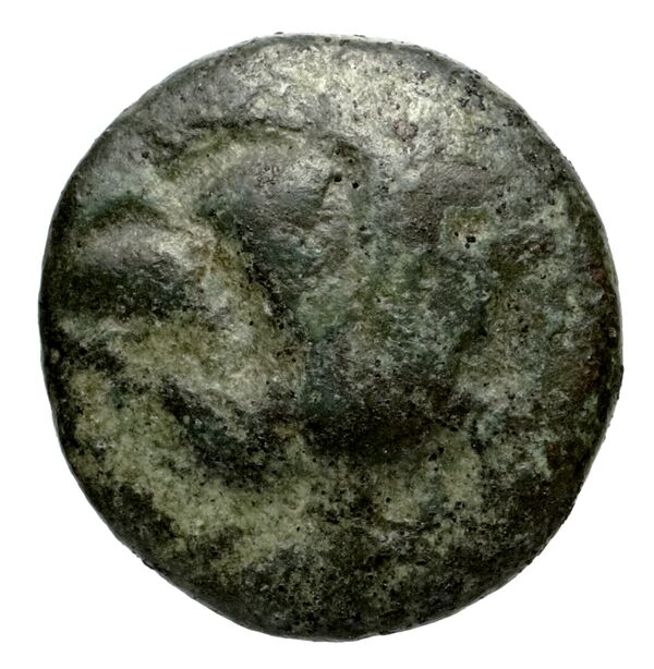 Rhodes Ashton 2001 317-31, аверс, bnf-iris