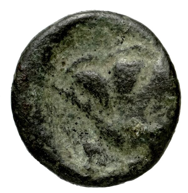 Rhodes Ashton 2001 317-31, реверс, bnf-iris
