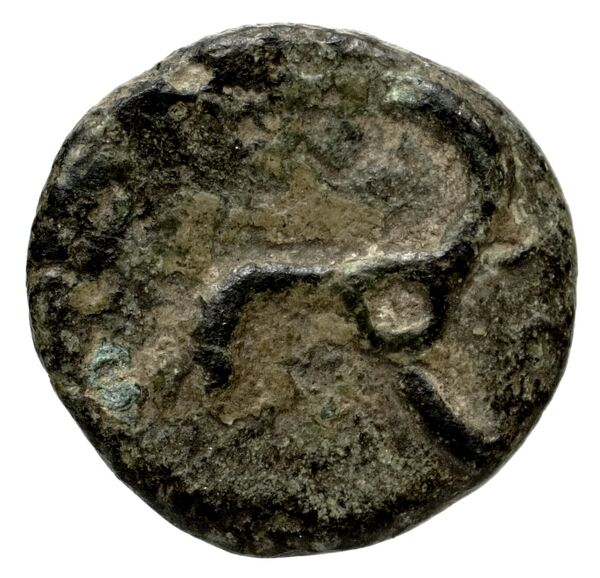 Perikles Lycia Hoff 2017 M244, реверс, bnf-iris