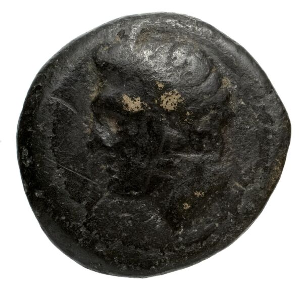 Perikles Lycia Hoff 2017 M244, аверс, bnf-iris