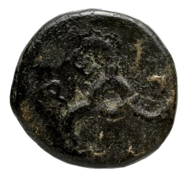 Perikles Lycia Hoff 2017 M244, реверс, bnf-iris