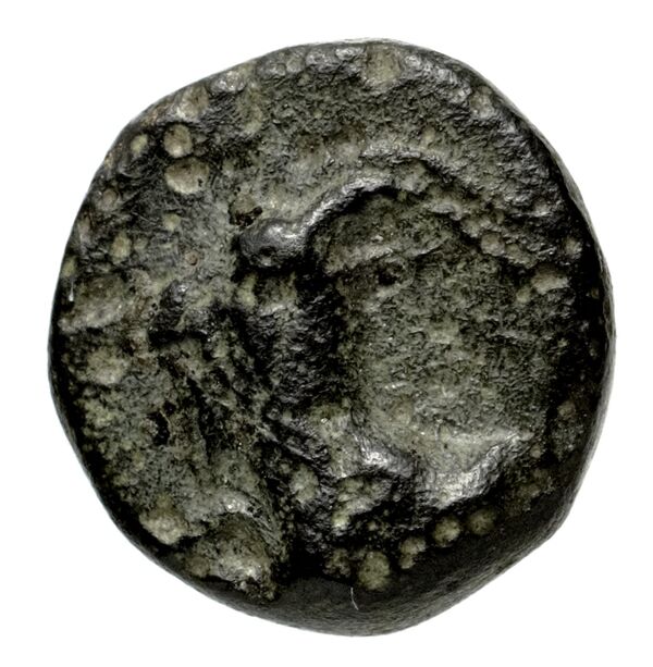 Perikles Lycia Hoff 2017 M242-3, аверс, bnf-iris