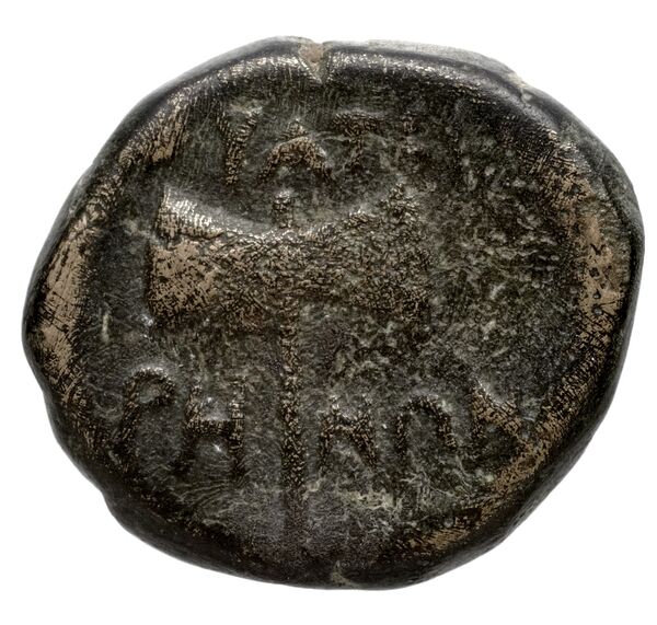 Thyateira Hochard 2020 2.1.2359, реверс, bnf-iris