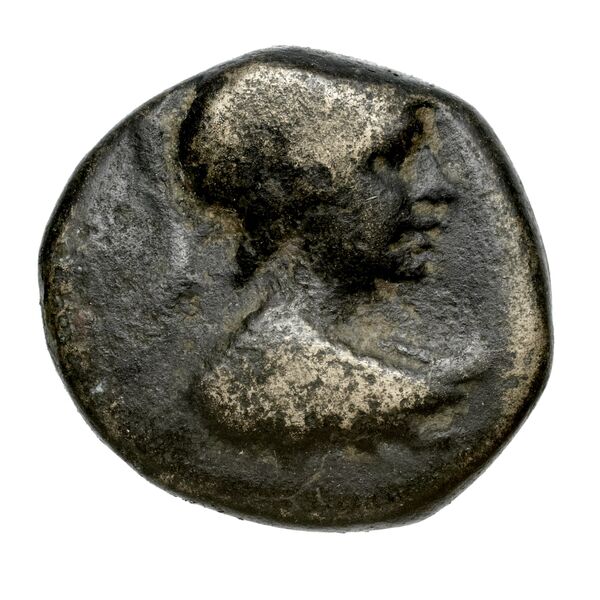 Peltae BMC Peltae 1-2, аверс, bnf-iris