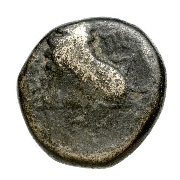 Peltae BMC Peltae 1-2, реверс, bnf-iris