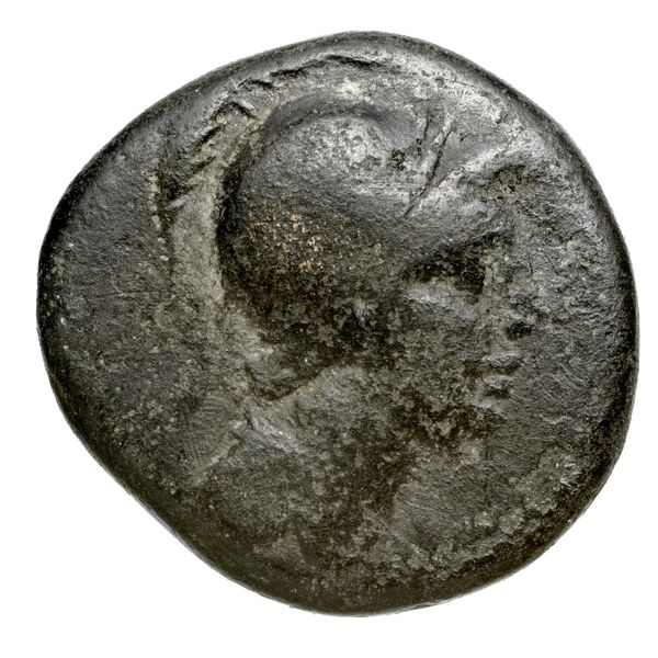 Peltae BMC Peltae 3, аверс, bnf-iris