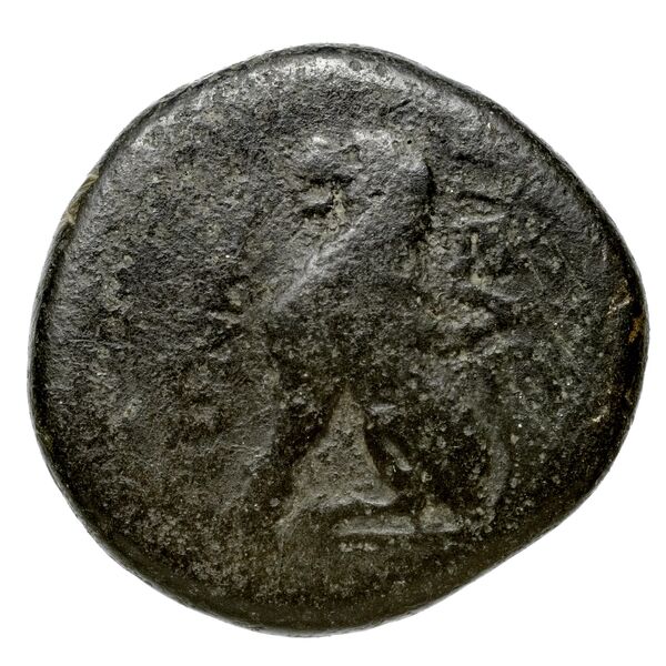 Peltae BMC Peltae 3, реверс, bnf-iris