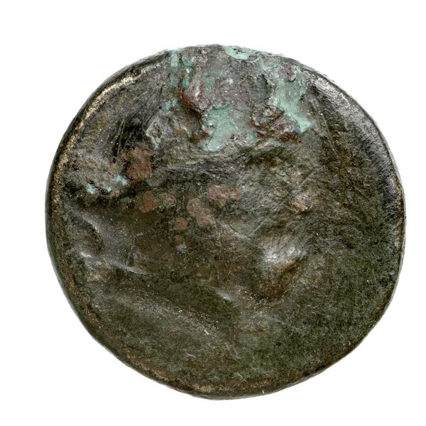 Peltae BMC Peltae 4-6, аверс, bnf-iris