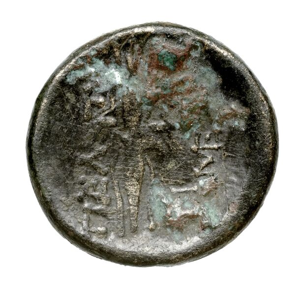 Peltae BMC Peltae 4-6, реверс, bnf-iris